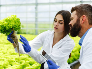 B.Sc. (Honours) Agriculture