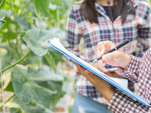 Diploma in Agriculture